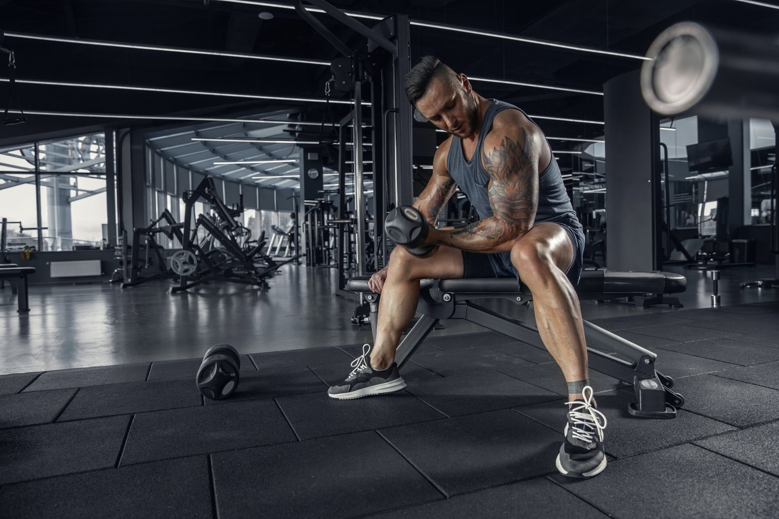 El papel de las proteínas en la reparación muscular: Beneficios clave y consejos